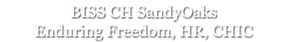 BISS CH SandyOaks Enduring Freedom, HR