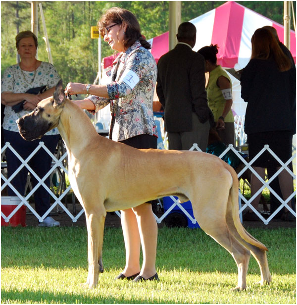 CH MoonRiver's Ultimate Beefcake V Gatekeeperdanes