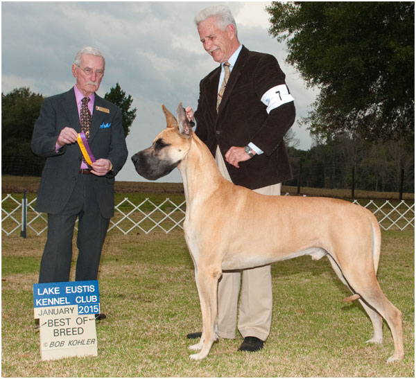 GCH MoonRiver's TimeKeeper