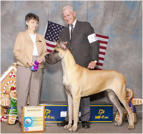 GCH MoonRiver's Mac Takes The Cake