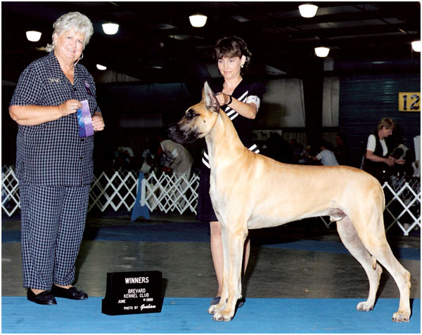 CH Calico Rock-Redland's Quest