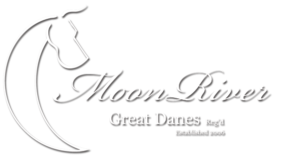 MoonRiver Great Danes